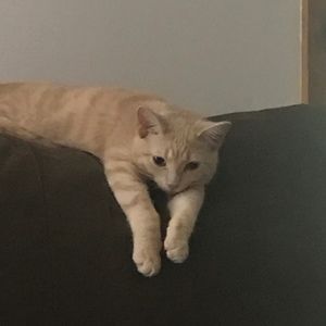 Meet your Posher, Christine